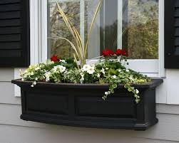 August Fields Window Box Flowers Metal Window Boxes Window Box