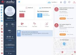 Vatandaşlar ve vatandaşın verdiği yetki kapsamında türkiye'nin 81 ilindeki tüm kamu sağlık kuruluşları, kişisel sağlık kayıtlarına erişebiliyor. E Nabiz Ile Asi Nasil Sorgulanir E Nabiz A Giris Nasil Yapilir Adim Adim E Nabiz Islemleri Gundem Haberleri
