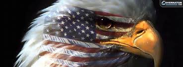 American Eagle Facebook Cover Photo Find the best free stock images about american flag.