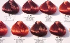 Hair Coloring Color Chart 300x185 Shades Of Red Hair Color