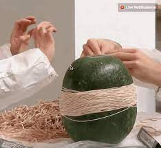 Watermelon + rubber bands + patience. With Each Rubber Band Our Anticipation Grew We Were Sweating Like Really Sweating Watermelon Exploding Watermelon Buzzfeed Employees