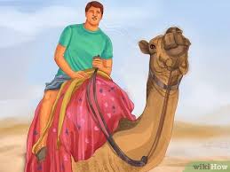 Other times of the year, camel costumes can still be great fun. How To Ride A Camel 12 Steps With Pictures Wikihow