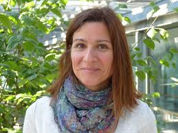 Soutenance de thèse de Sophie Carli-Omont