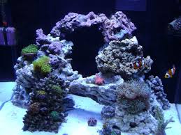 The aquascape is not the only noteworthy feature of the vp corals sps reef tank as it uses metal halides & t5 fluorescent lights, what some might consider 'legacy' aquarium lighting. Pin On Reef Tank