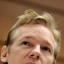 Wikileaks founder to stay underground as servers booted