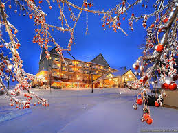 Free Download Winter Nature Wallpapers High Resolution Nature In 2019 Winter 1024x768 For Your Desktop Mobile Tablet Explore 67 Nature Desktop Wallpaper Winter Nature Wallpapers Hd Free Nature Wallpaper You can also upload and share your favorite winter wallpapers 1920x1080.