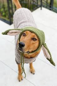 10 sweaters that fit dachshunds. Baby Yoda Pattern Dog Sweater Handy Little Me