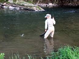 Fly Fishing On Penns Creek In Pennsylvania
