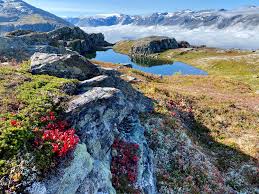 Hordaland folkeblad er ei uavhengig lokalavis som gir deg siste nyhende, kultur, sport og meiningar. Ullensvang Kommune