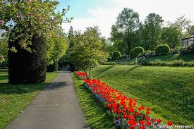Die zoologische geschichte der wilhelma begann jedoch erst nach dem zweiten weltkrieg mit einer aquarienschau 1949. Tierpark Wilhelma In Stuttgart