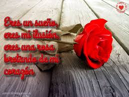 Imagenes De Rosas Con Frases De Amor Rosa Roja Sola Frases De Rosas Rosa Roja Sola Rosa Roja