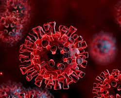 On the other hand, an rna virus that infects bacteria, called ms2, has barely 3,500 base pairs. Covid 19 Coronavirus Virus Infecties Camfil