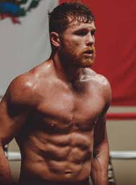 He has won multiple world championships in four weight classes from l. 4k Canelo Wallpaper Ixpap