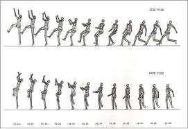 In its modern most practiced format. How To Play High Jump Tutorialspoint