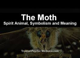 What Does The Moth Spirit Animal Really Mean Find Out The True Meaning And Symbolism Of The Moth In T Spirit Animal Animal Spirit Guides Spirit Animal Meaning