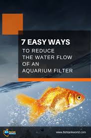7 Ways To Reduce The Water Flow Of Aquarium Filter Fish Tank World Aquarium Filter Fresh Water Fish Tank Fish Tank