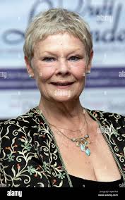 Judy dench immagini e fotografie stock ad alta risoluzione