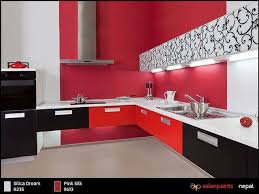 Walls Nepal Modern Kitchen Design Modern Kitchen Interiors Small Bedroom Remodel