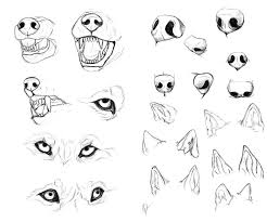 Just Some Practice Sketches I Did Last Night Whilst Watching A Documentary On Wolves Seeing As A Commissi Dog Face Drawing Animal Drawings Cat And Dog Drawing