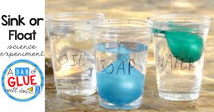 sink or float science experiment using