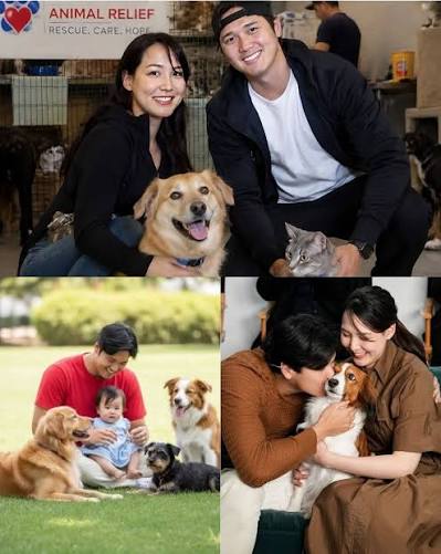 Dodger - "🚨🐾 A HEART OF GOLD: SHOHEI OHTANI'S REPORTED ACT OF KINDNESS TOUCHES FANS WORLDWIDE ❤️ According to reports circulating online, Shohei Ohtani and his wife recently visited a local animal