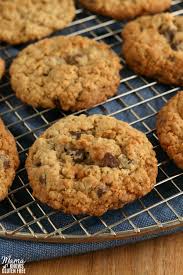 Whether you make biscuits or cookie bars, this recipe is sure to please. Gluten Free Oatmeal Cookies Dairy Free Option Mama Knows Gluten Free