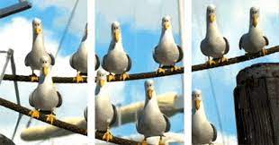 Angry Frenchie Finding Nemo 3d Gifs Finding Nemo Mine