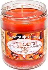 Pet odor exterminator candle orange lemon splash. Pet Odor Exterminator Candles Posts Facebook