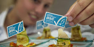 Wat is het ASC?