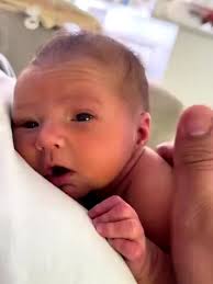 @DanWuori's video Tweet