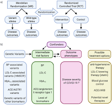 Our aim was to improve the detection of comorbid diseases associated with autism. Mendelian Randomization In Covid 19 Applications For Cardiovascular Comorbidities And Beyond Ebiomedicine