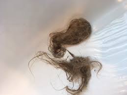 hair in sink