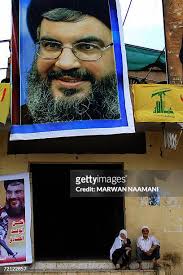 233 Leef Stock Photos, High-Res Pictures, and Images