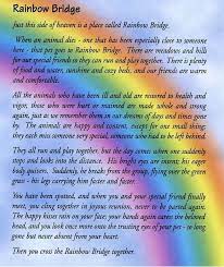 Black White Sunday Remembering Gerry Mydoglikes Rainbow Bridge Poem Rainbow Bridge Pet Poems