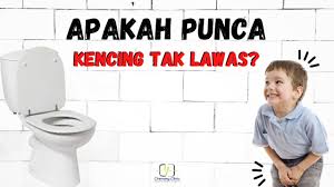 Otot pundi kencing anda akan menjadi lebih lemah dan kencing tak lawas menjadi semakin kerap apabila usia anda meningkat. Kencing Tak Lawas Apakah Puncanya Youtube