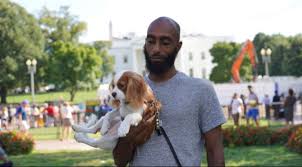 Pet insurance gives you peace of mind by helping you afford the best treatment for your dog or cat while protecting you from a major financial set back. With Animal Owners At Home Local Dog Walkers And Pet Care Businesses Are Struggling Dcist