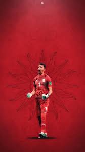 Fernando Muslera Gs Duvar Kagitlari Hd Gs Wallpapers Duvar Kagitlari Siyah Aslan Duvar