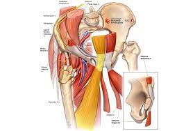 Concussion programme how to recognise, assess and treat concussion injuries powered by physiopedia start course presented by: Sports Hernia Surgery