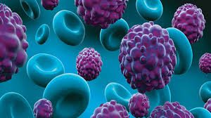 Image result for biology