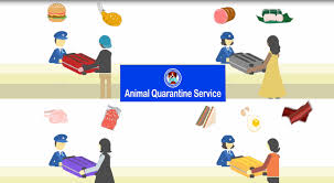 Watch anywhere, anytime, on an unlimited number of devices. Animal Quarantine Information For Travellers To Japan å‹•ç‰©æ¤œç–«æ‰€
