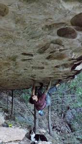Rooftown: James Canyon Forest Freshies