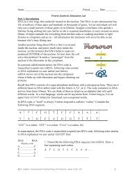 Protein Synthesis Simulation Lab