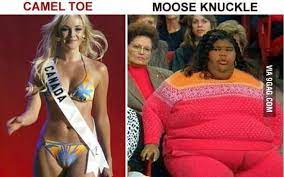 The difference between a camel toe and a moose knuckle. Camel Toe Vs Moose Knuckle 9gag