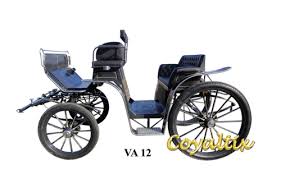 Classic Horse Carriages by Coyaltix
