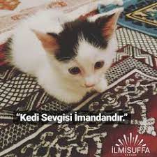 ilmi suffa panosundaki pin