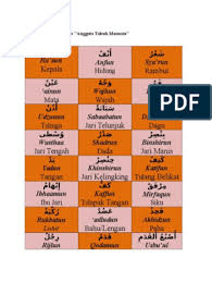 Kita kenal istilah jumlah mufidah dalam pelajaran ilmu nahwu, seperti di kitab nahwul wadhih. Gambar Anggota Tubuh Dalam Bahasa Arab Kita