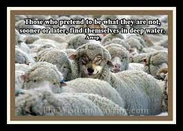 1 run after your fears. Those Who Pretend To Be What They Are Not Sooner Or Later Find Themselves In Deep Water Aesop Sheep Sheepdog Wolf