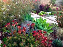 Garden Ideas Landscaping Ideas Coastal Plant Seaside Plant Drought Tolerant Plant Succulent Landscape Design Drought Tolerant Landscape Low Water Gardening