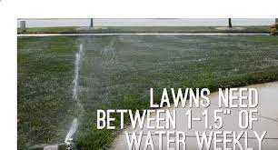 In general, vegetable plants need about one inch of water per week. How Often Should I Water My Lawn Elkhart Irrigation