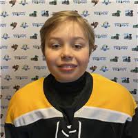 Sweden Hockey Trophy